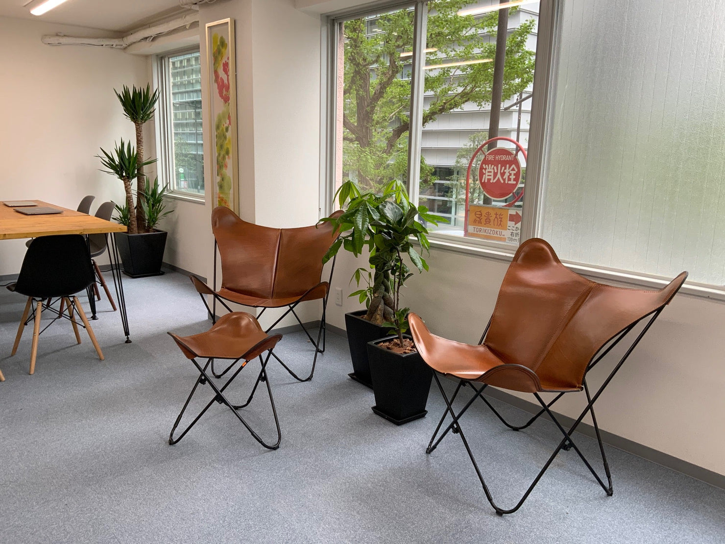 Butterfly Chairs + Ottoman