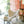 PATAGONIA WHITE WILD OR SHORN SHEEPSKIN BUTTERFLY CHAIR