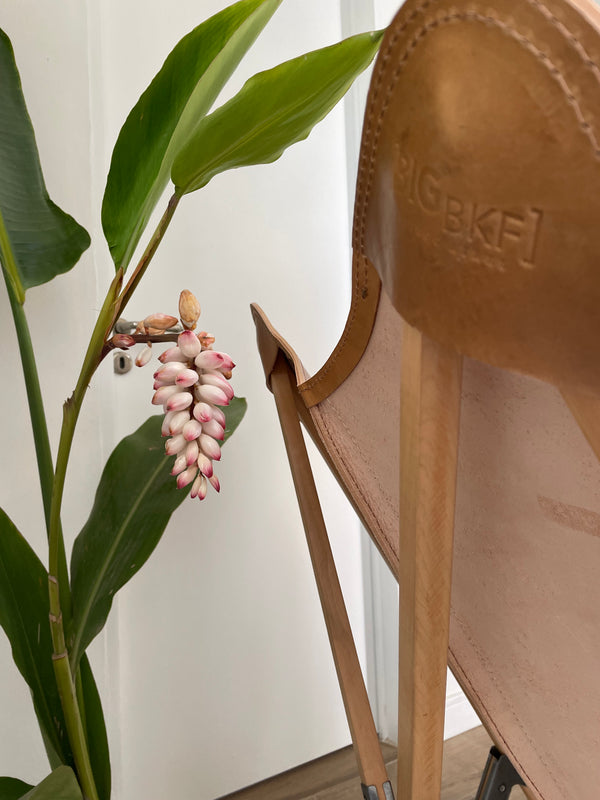 巴勒莫·特里波利纳古董皮椅