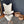 ULTRASOFT PATAGONIA SHORN SHEEPSKIN WOODEN FRAME CHAIR