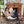 PATAGONIA WHITE WILD OR SHORN SHEEPSKIN BUTTERFLY CHAIR